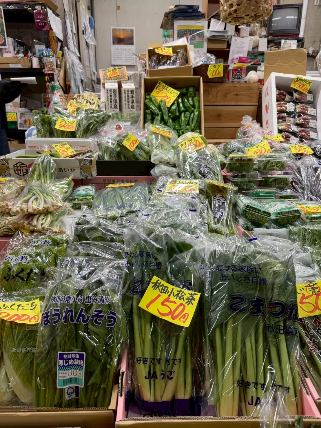 秋田の野菜